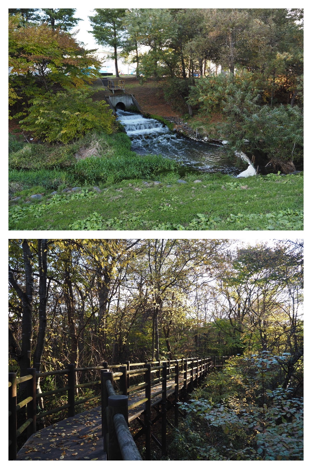 251024_Obihiro-shrine_22