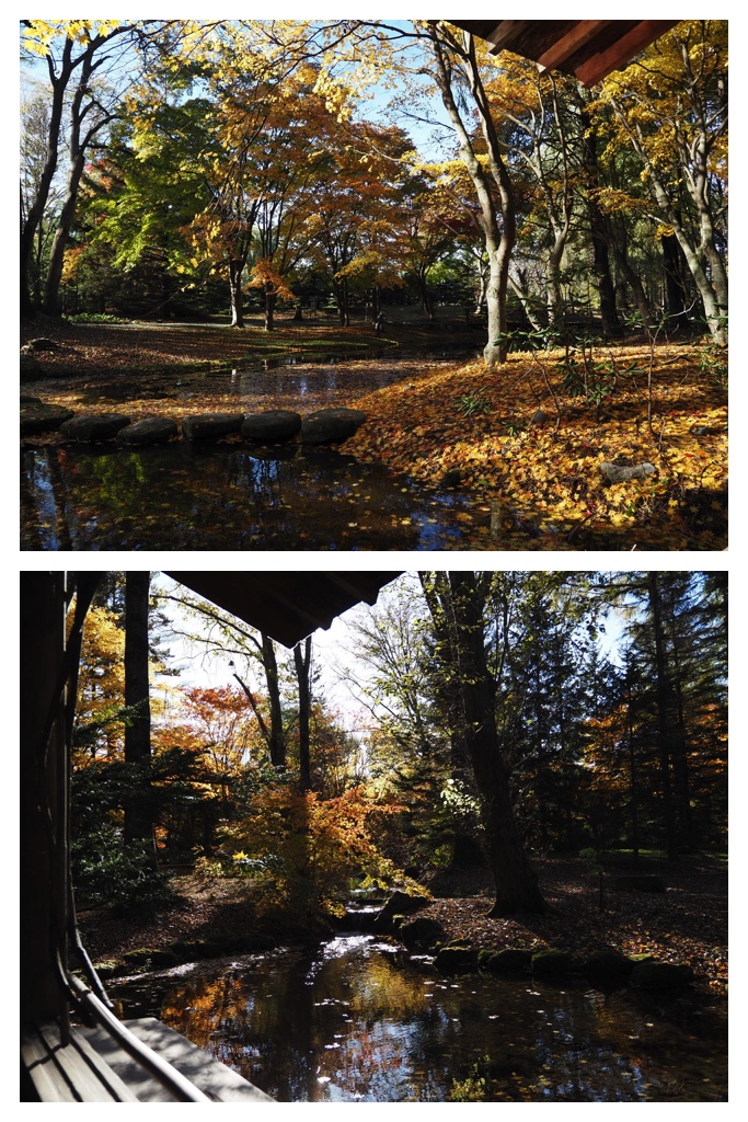 251027_Manabe-Garden_12