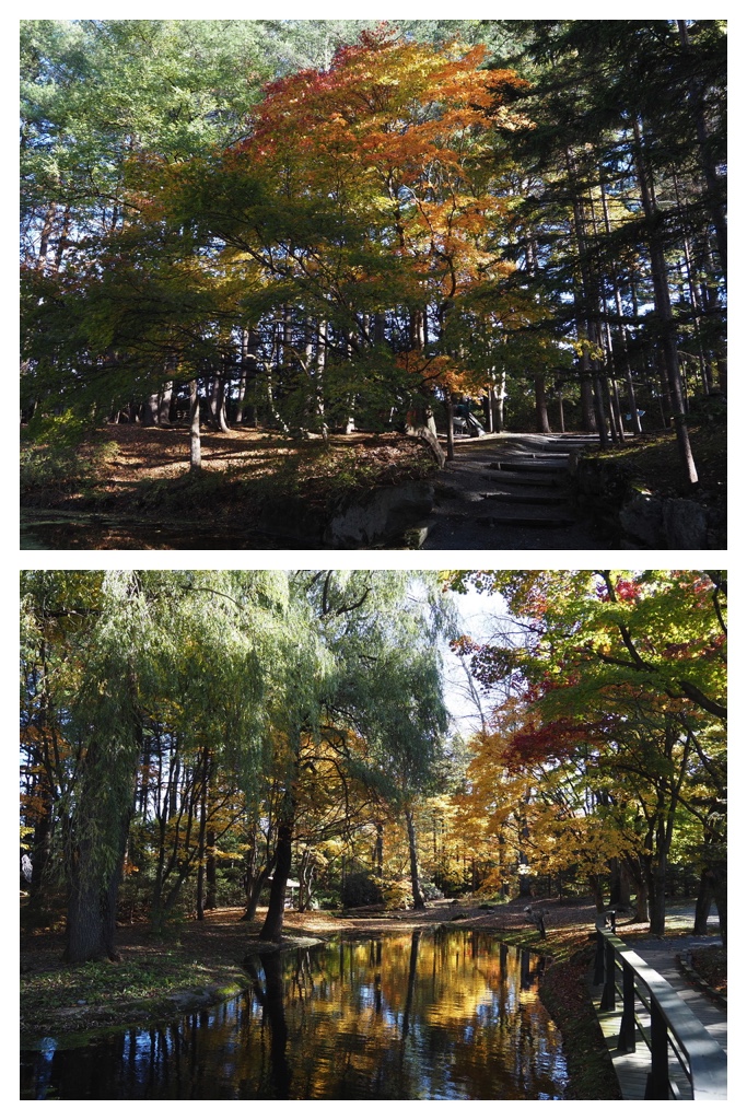 251027_Manabe-Garden_15