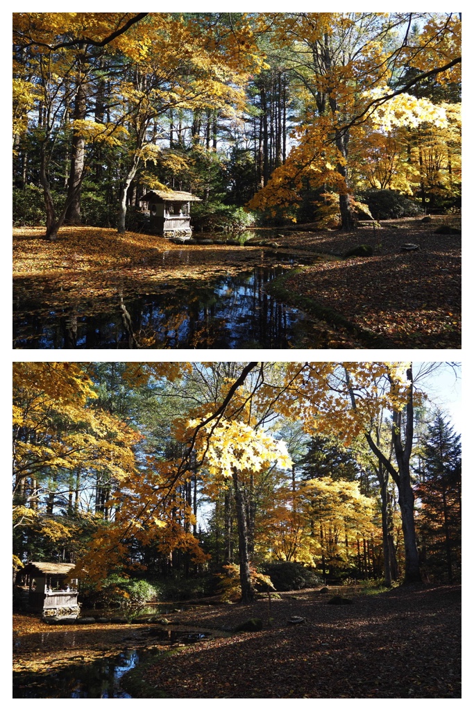 251027_Manabe-Garden_16