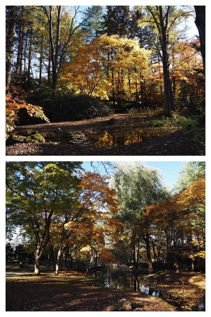 251027_Manabe-Garden_17