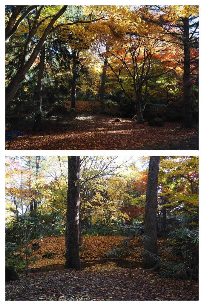 251027_Manabe-Garden_18