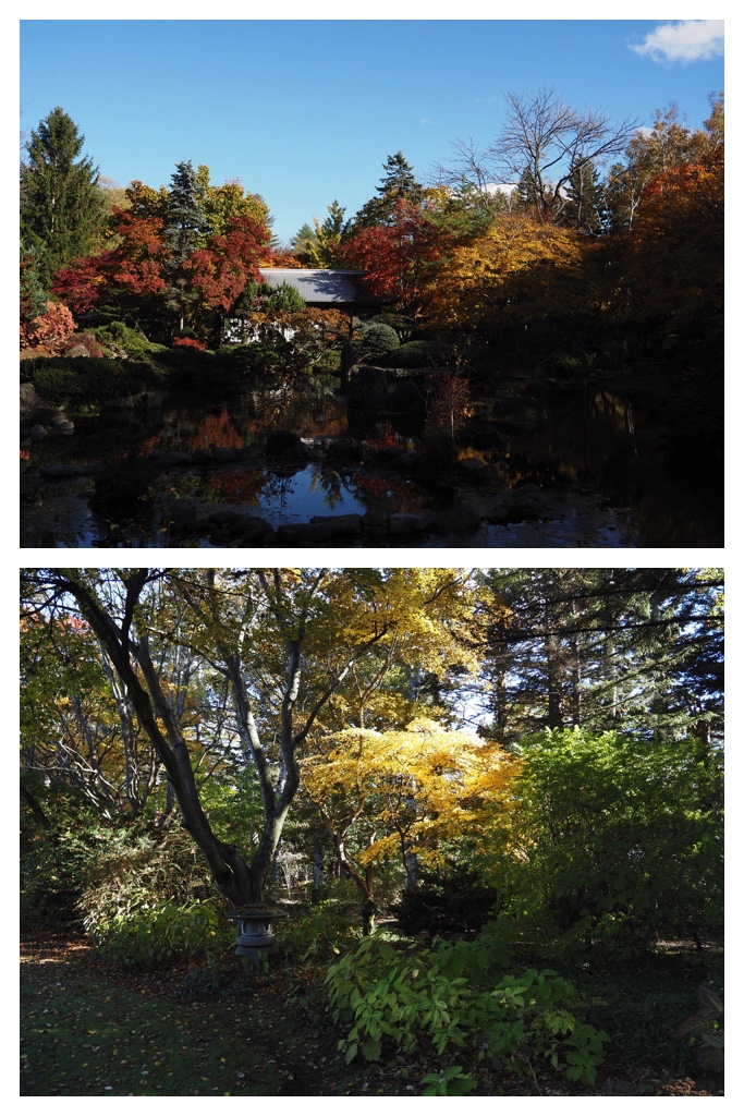 251027_Manabe-Garden_4