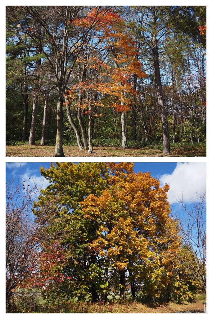 251027_Mini_volley_3