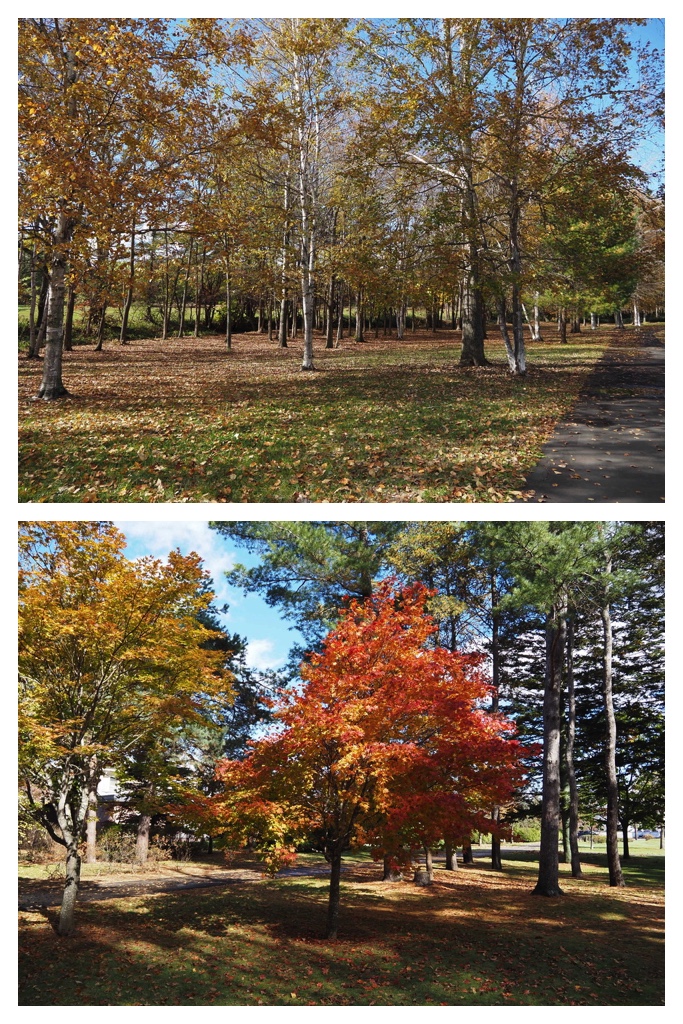 251027_Mini_volley_4