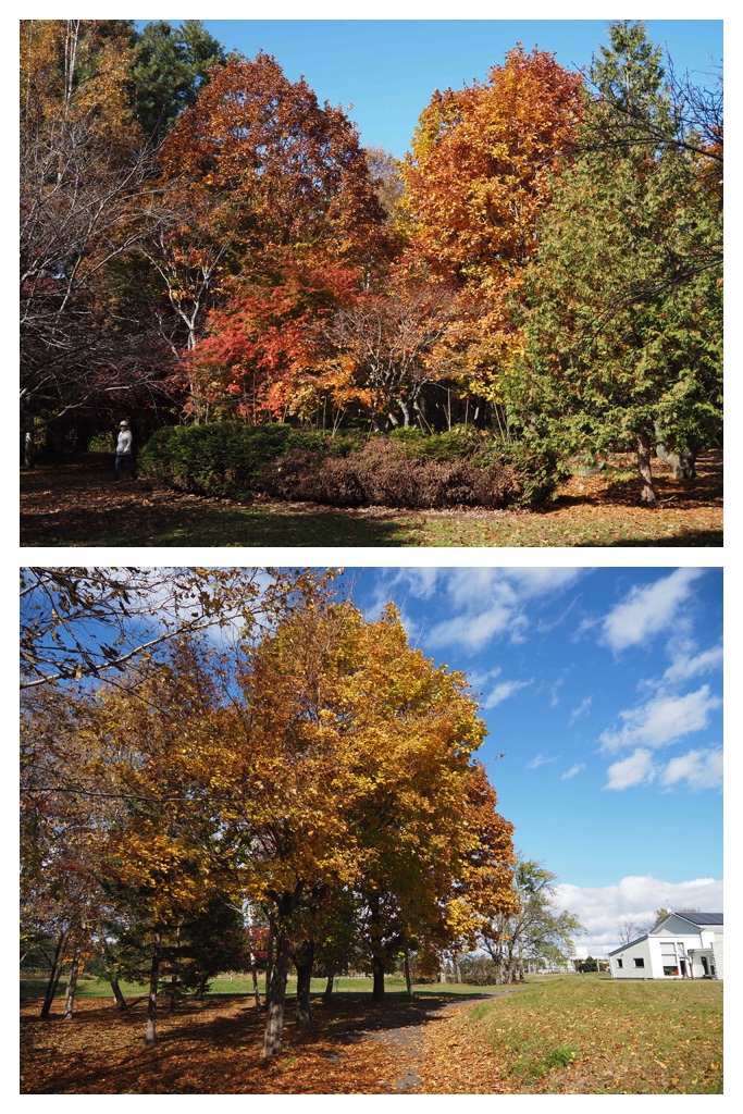 251027_Mini_volley_5