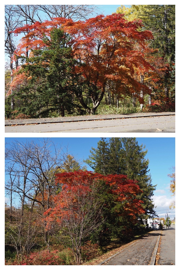 251027_Mini_volley_8