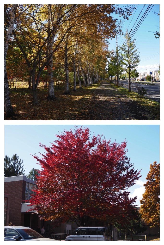 251027_Mini_volley_9