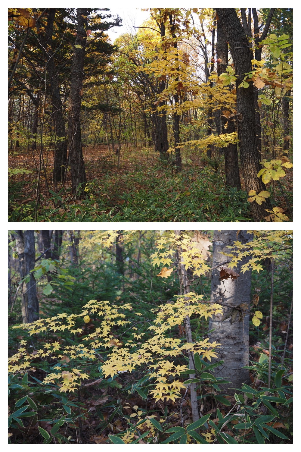 251029_Temp-logger_2