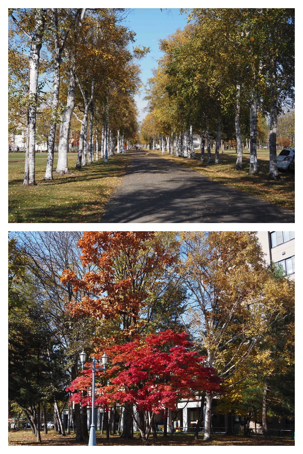 251030_Mini-volley_3