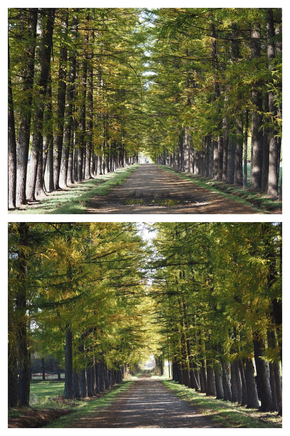 251030_Mini-volley_6