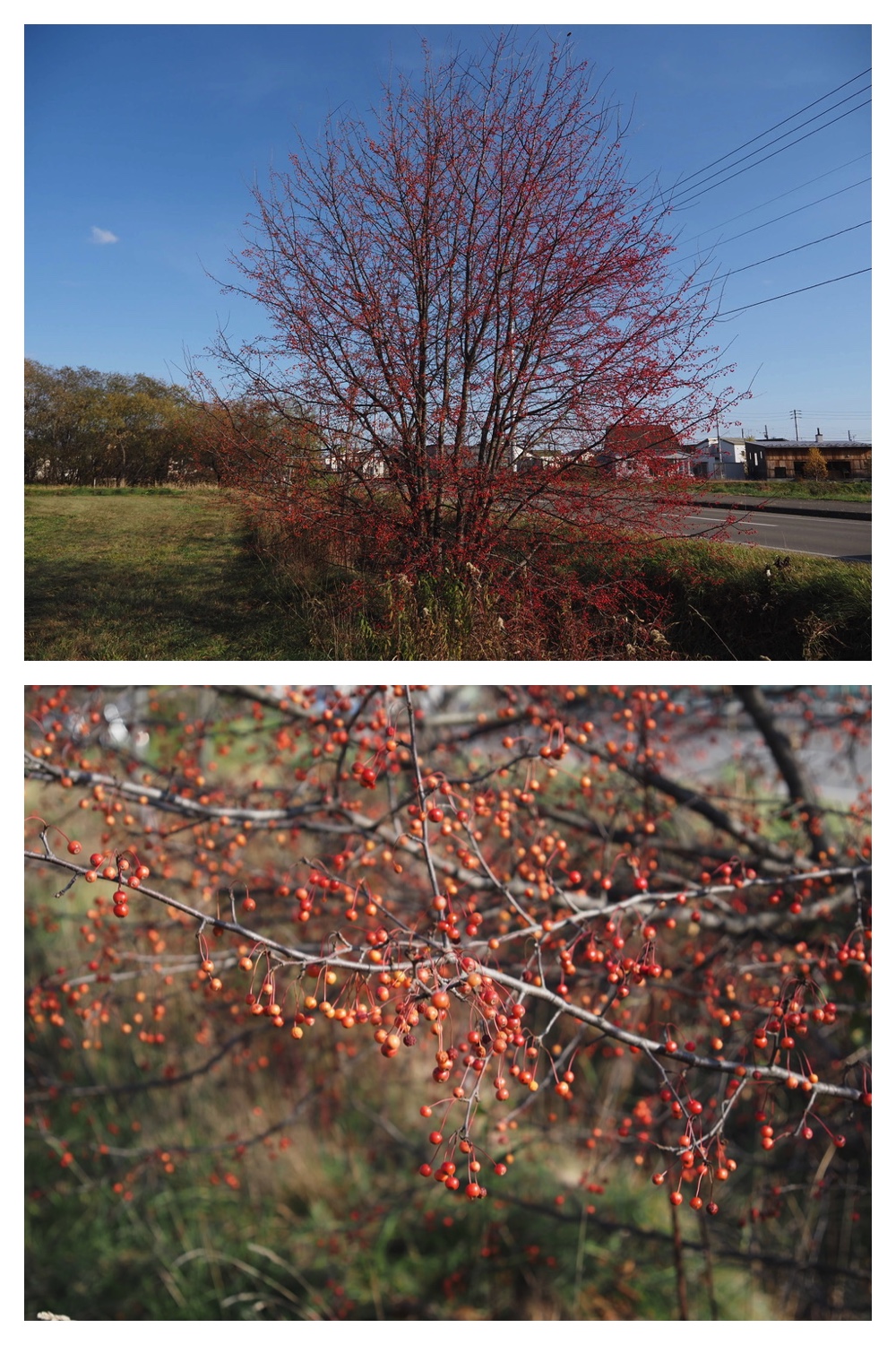 251030_Mini-volley_7