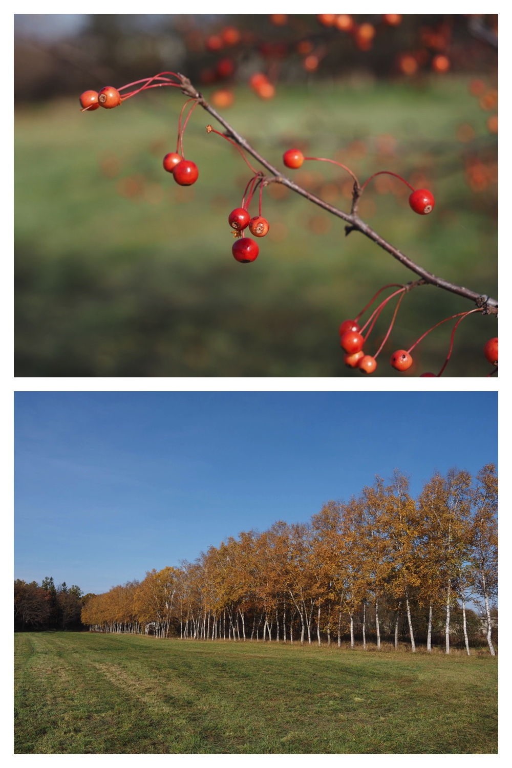 251030_Mini-volley_8