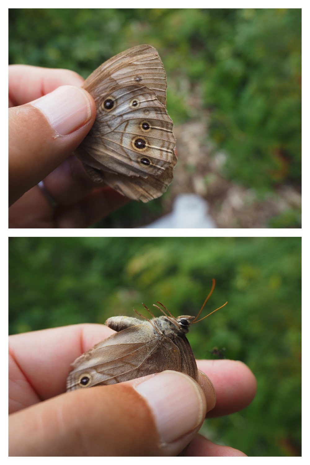 250907_Chou_11