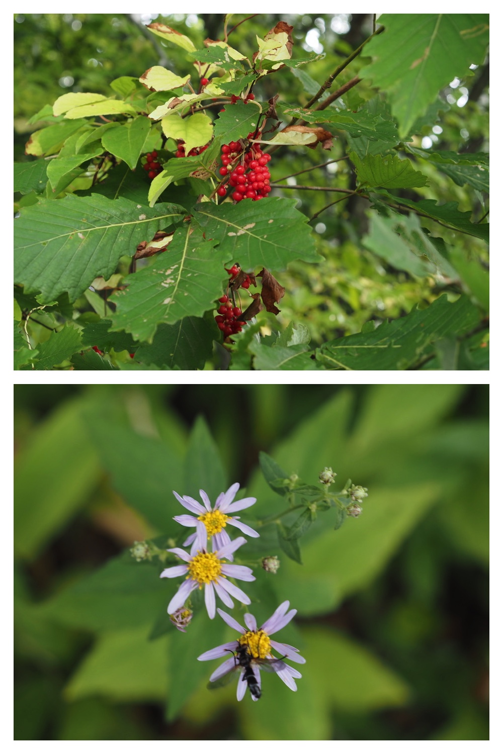 250907_Chou_14
