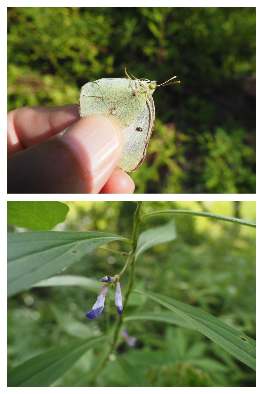 250907_Chou_16