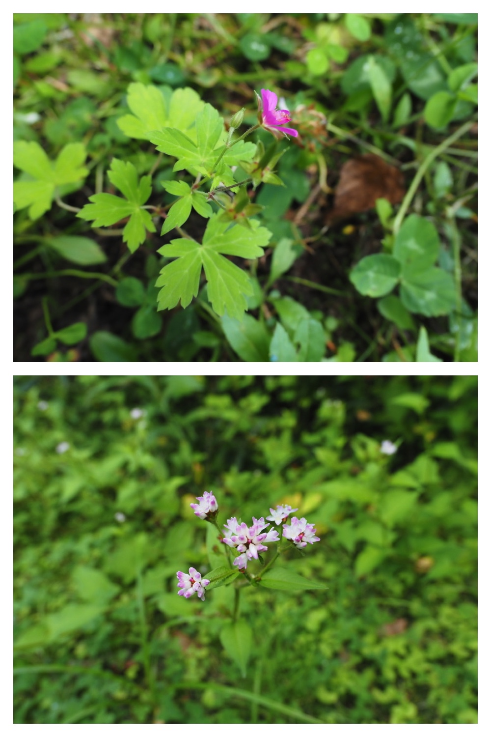 250907_Chou_20