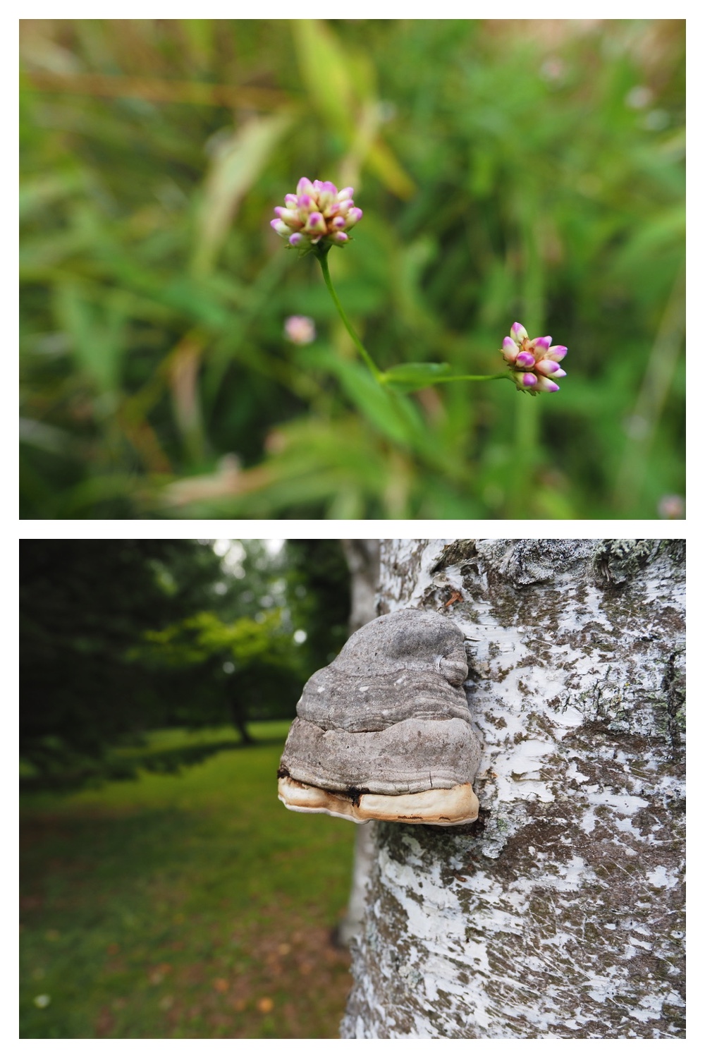 250907_Chou_21