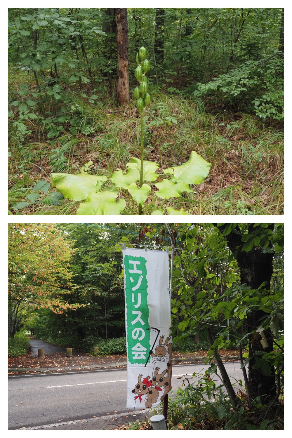 250907_Chou_4