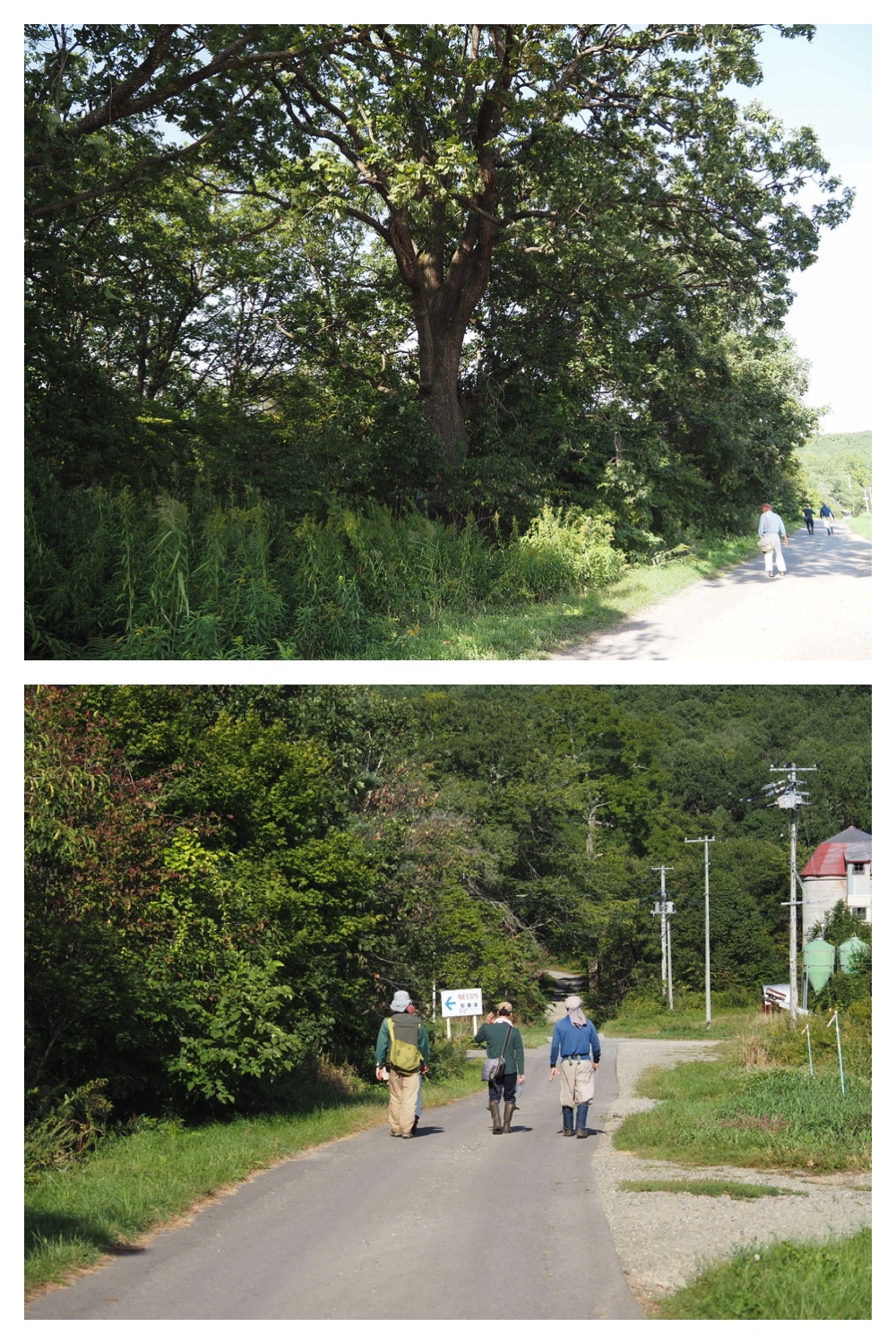 250912_Nitta-farm_10