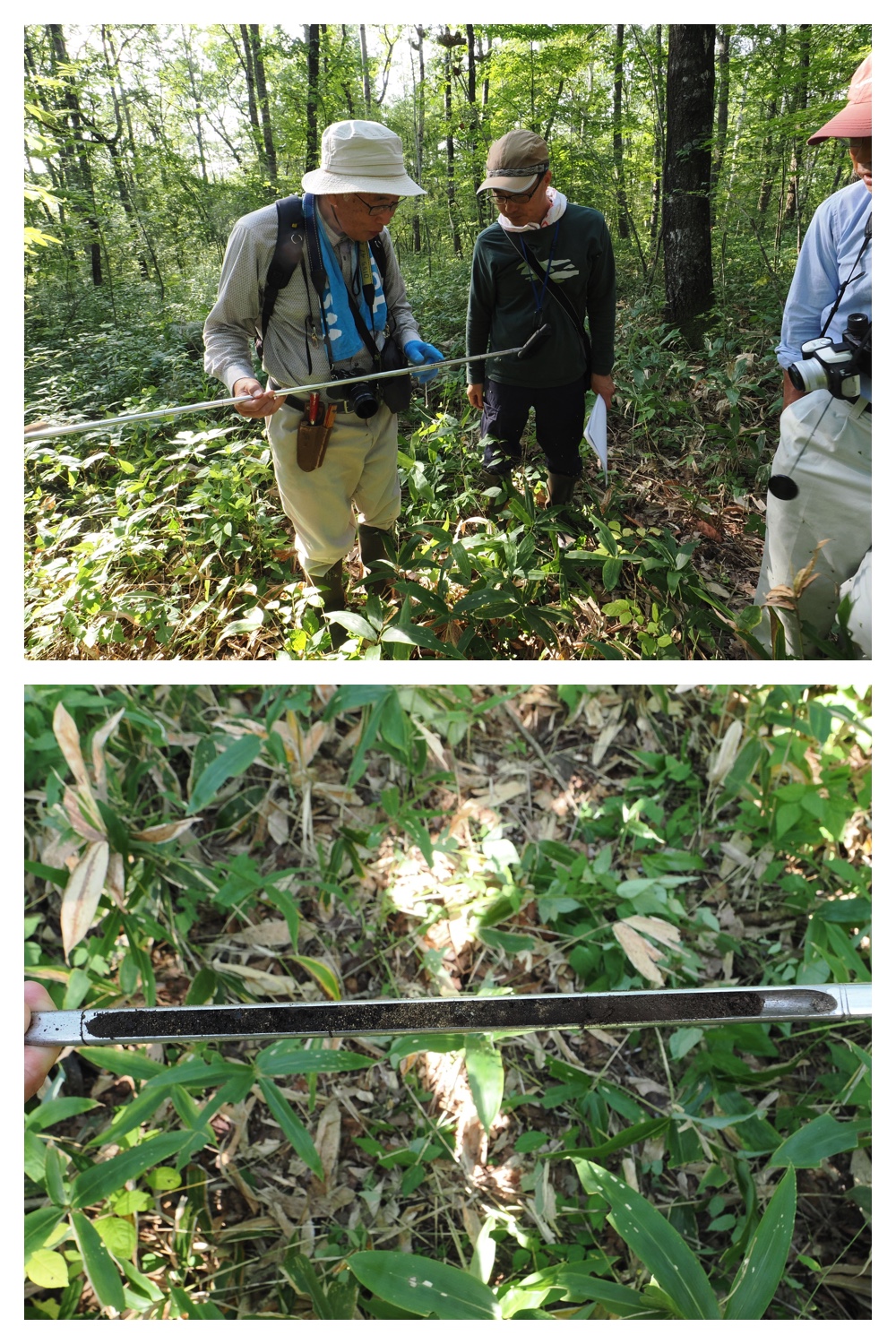 250912_Nitta-forest_2