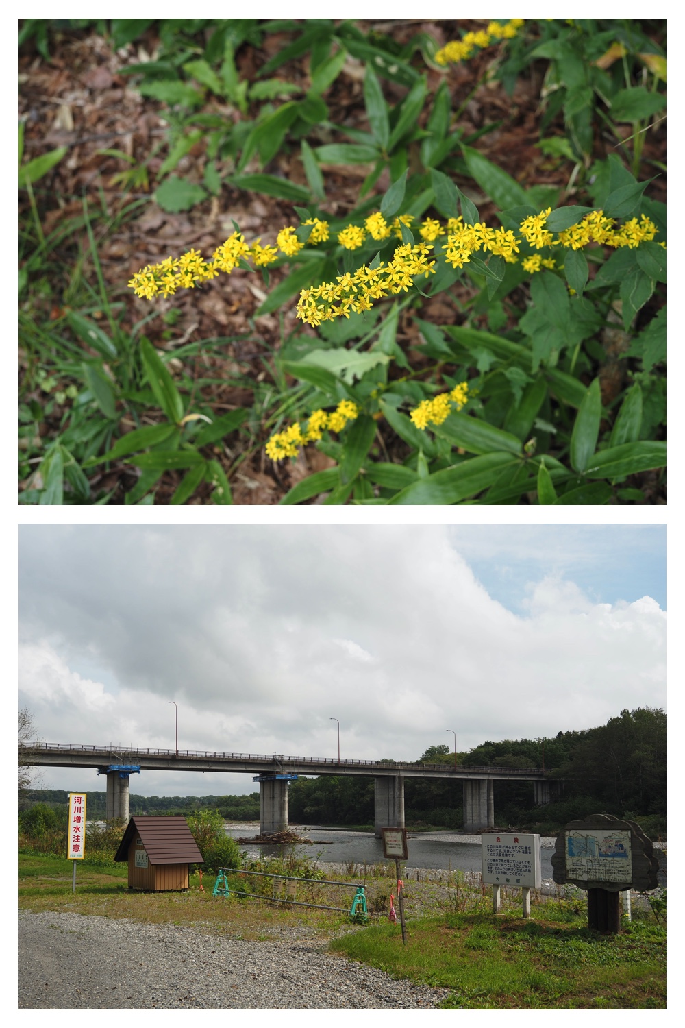 250913_Rekifune_10