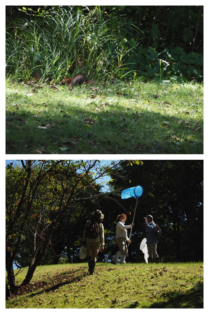 250915_Ezorisunokai_25