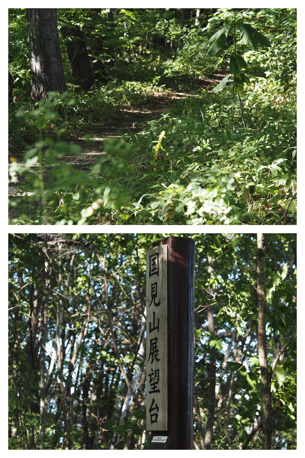 250919_Kunimiyama_12