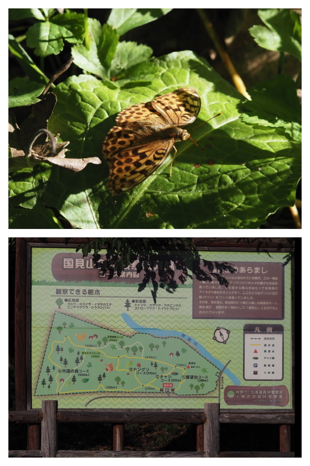 250919_Kunimiyama_18