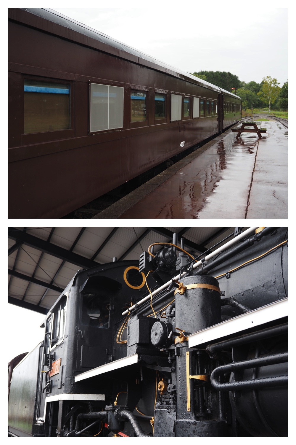 250925_Kimuaneppu_13