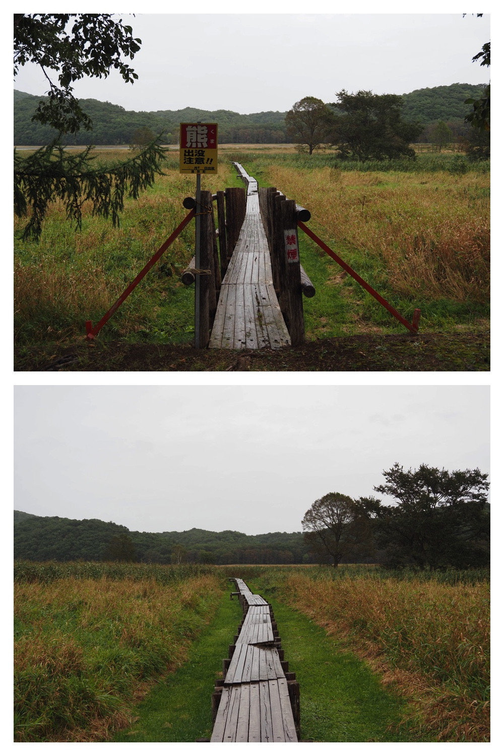 250925_Kimuaneppu_14