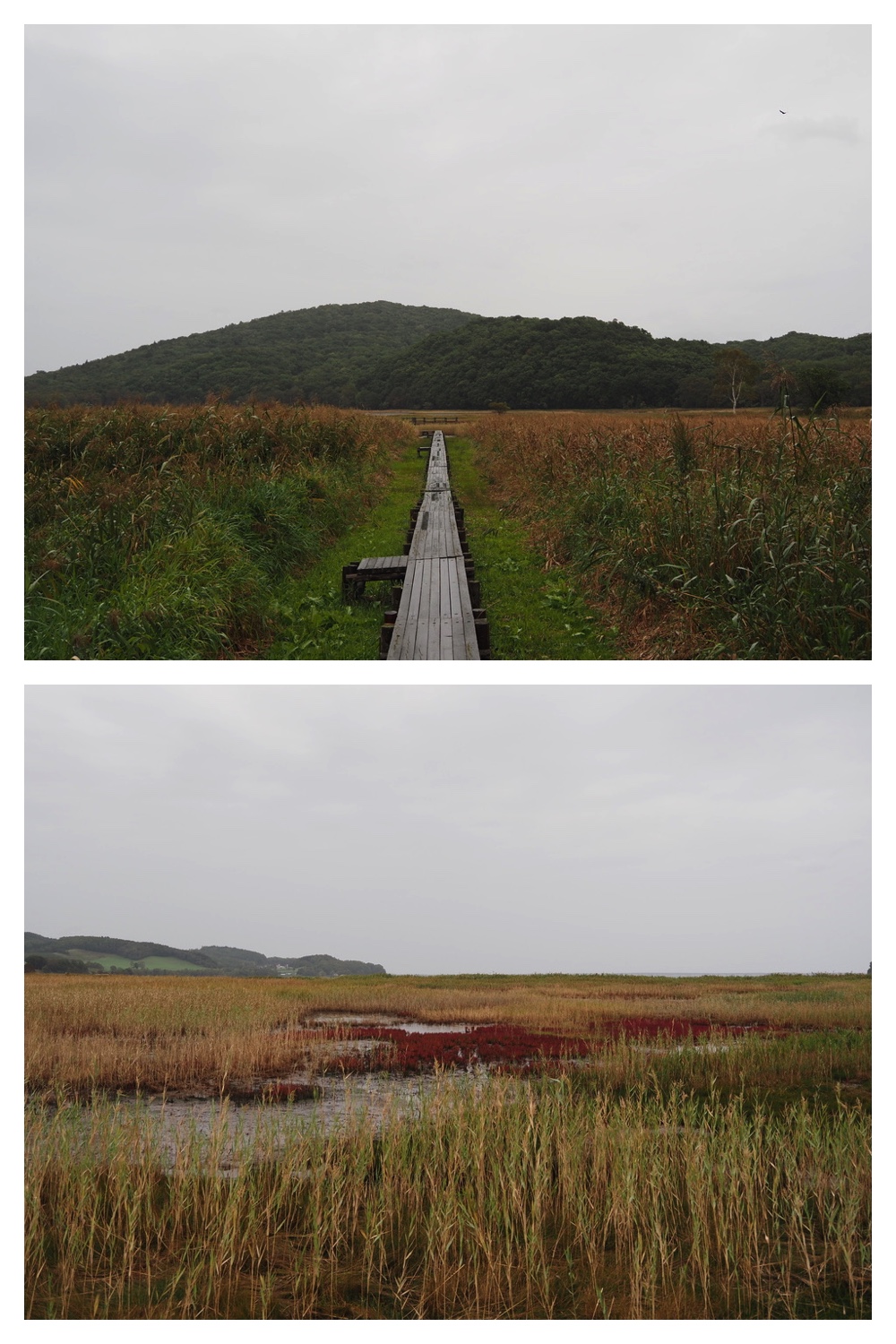 250925_Kimuaneppu_15