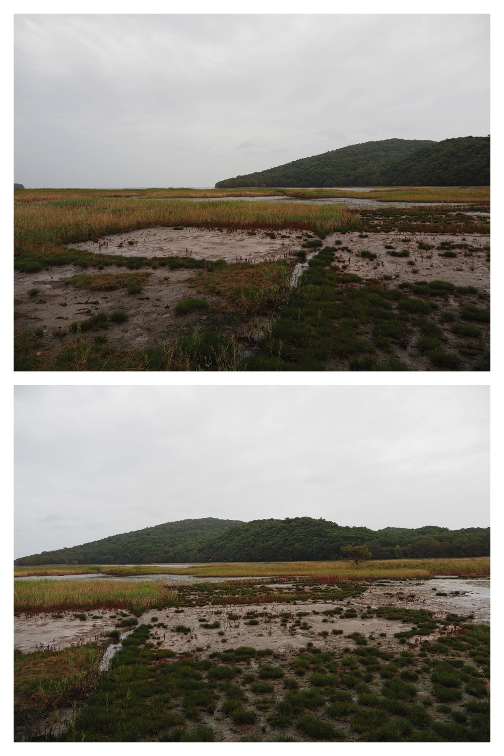 250925_Kimuaneppu_16