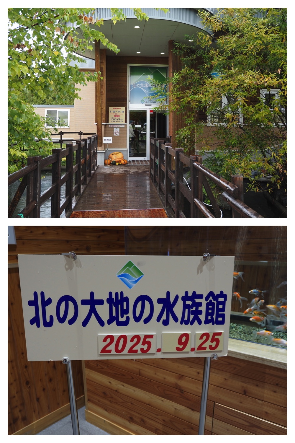 250925_Kimuaneppu_21