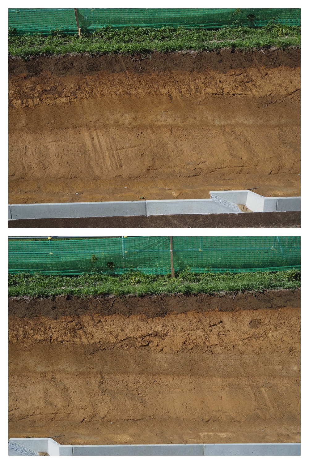 250928_Soil-profile_2.