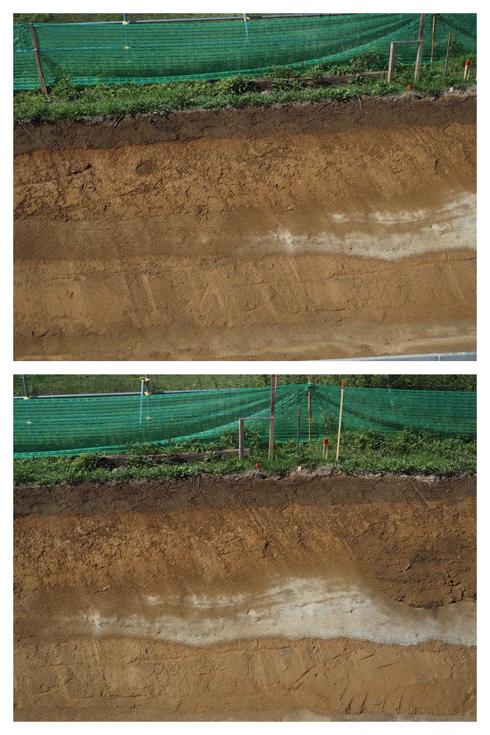 250928_Soil-profile_3.