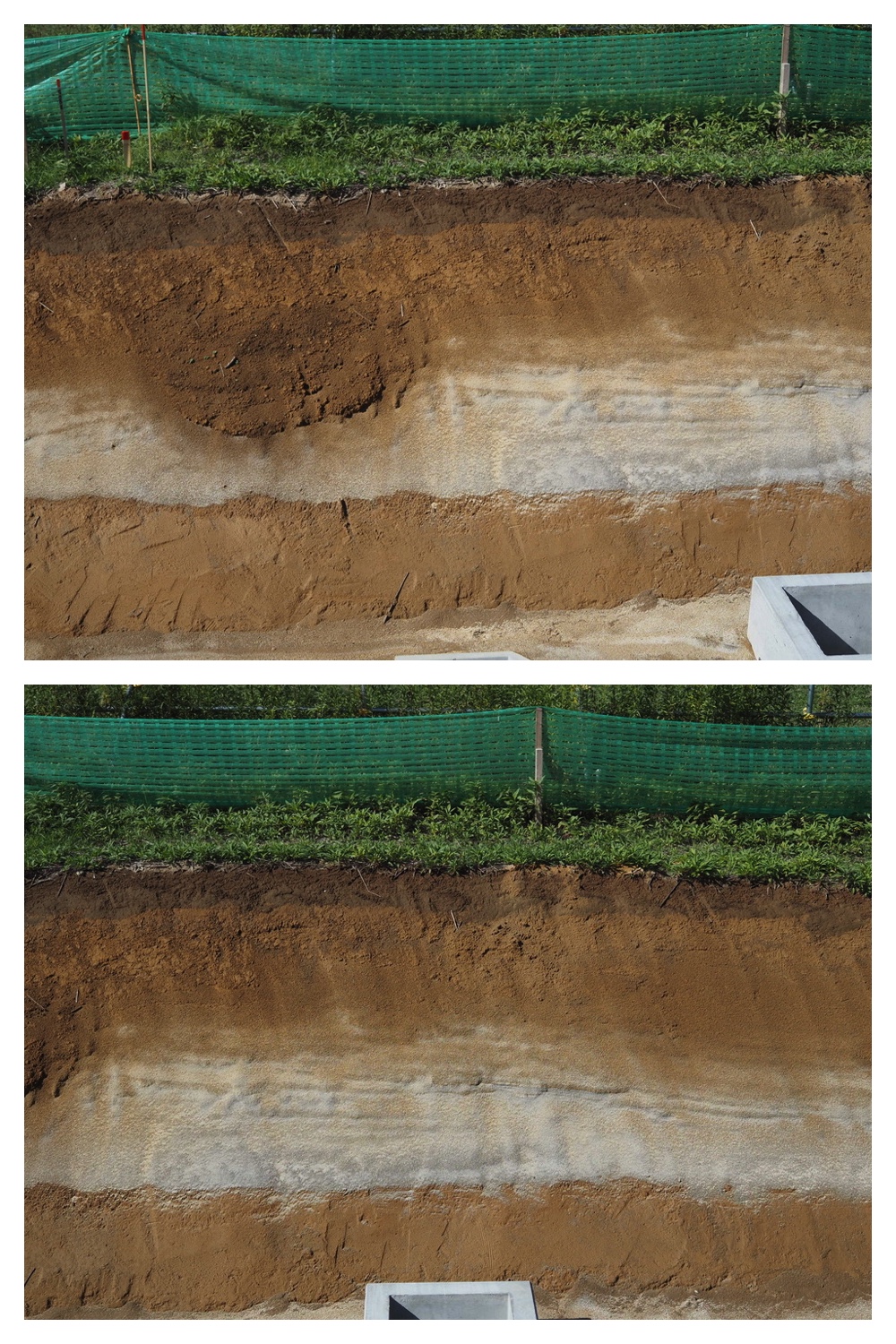 250928_Soil-profile_4.