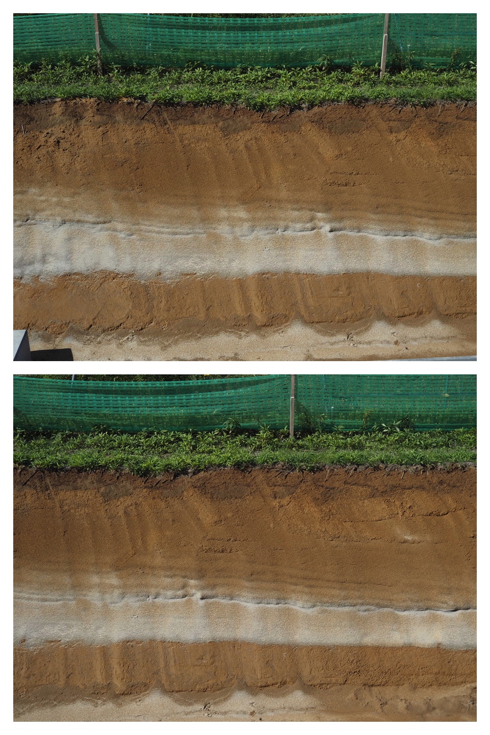 250928_Soil-profile_5.