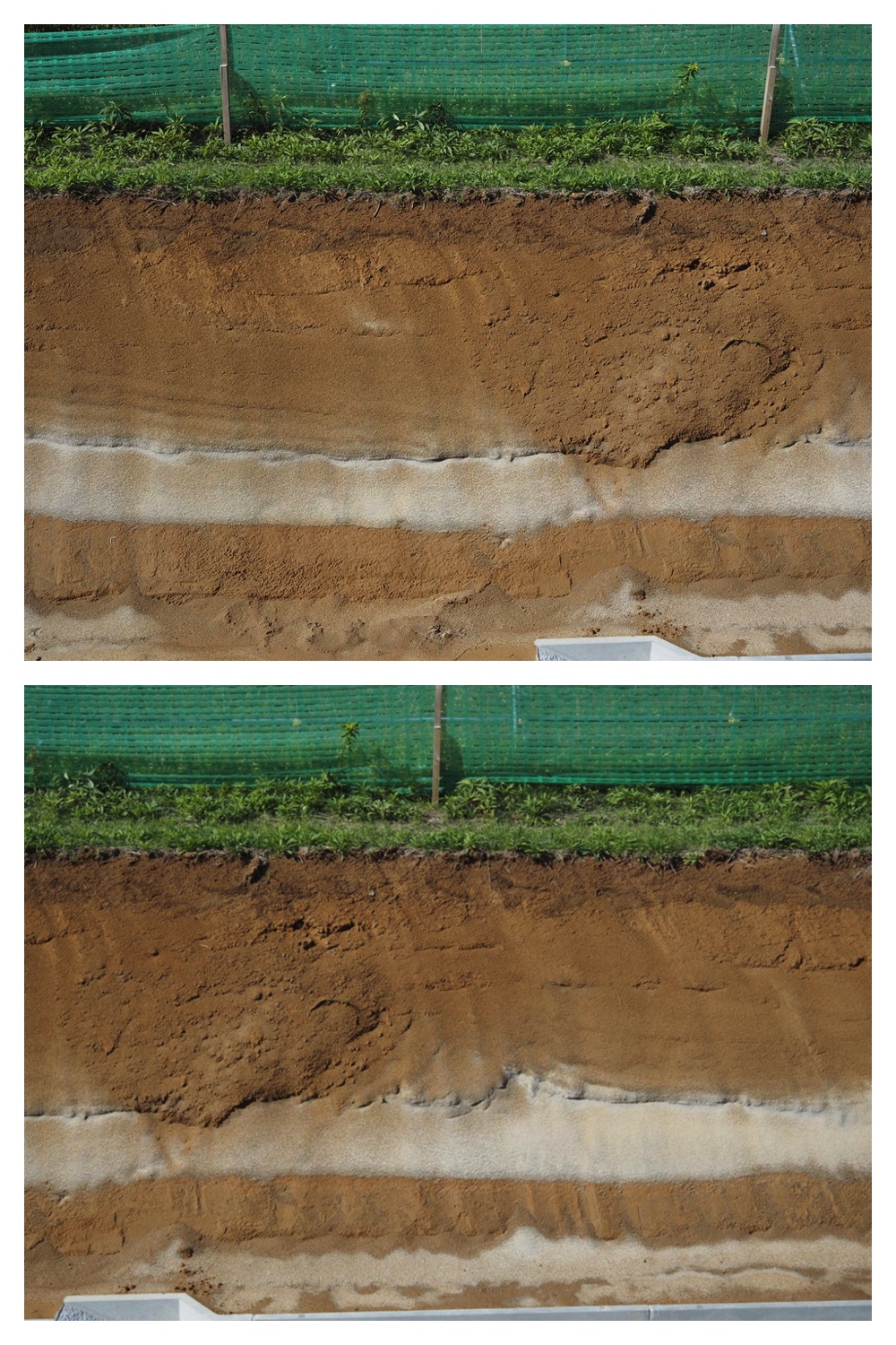 250928_Soil-profile_6.