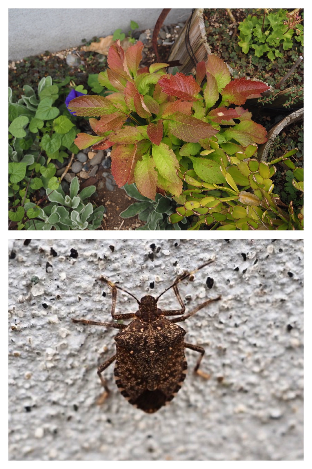 250929_Autumn-come_2