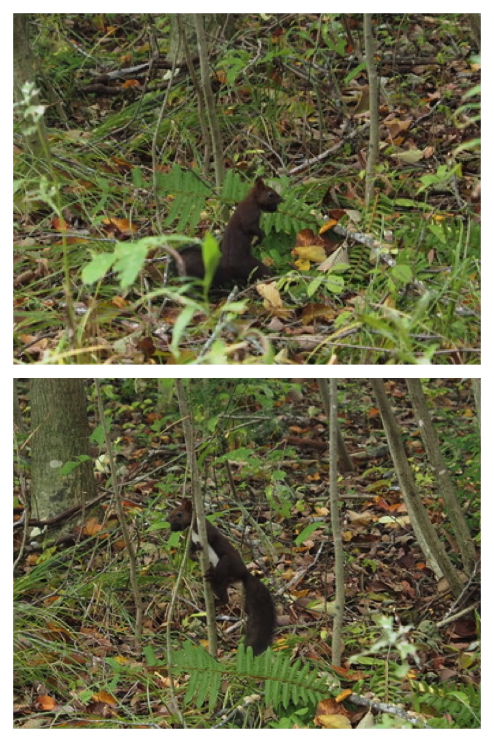 250929_Autumn-come_6