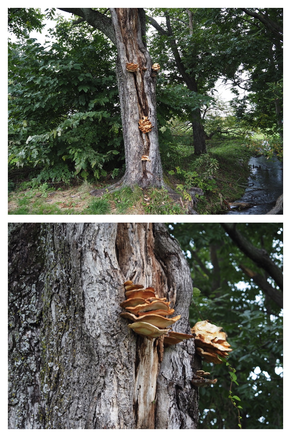 250929_Autumn-come_9