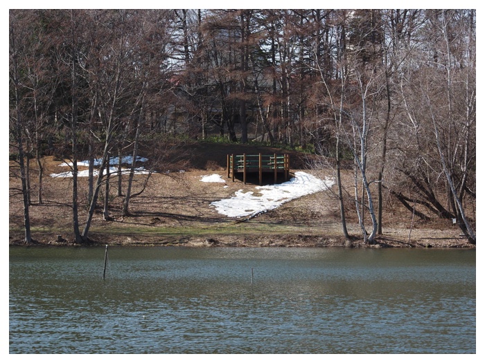 260403_Library_1
