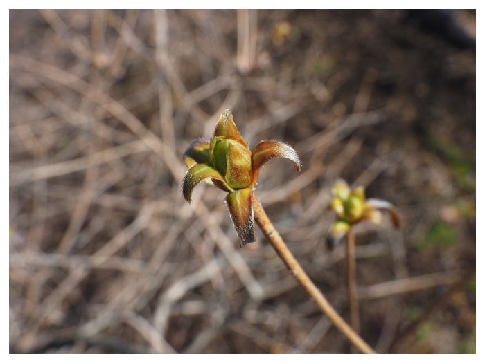 260403_Library_5