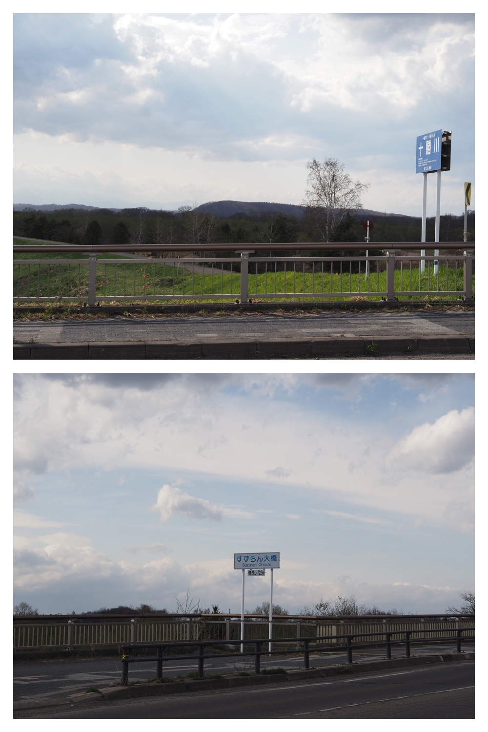260418_Sakura_14