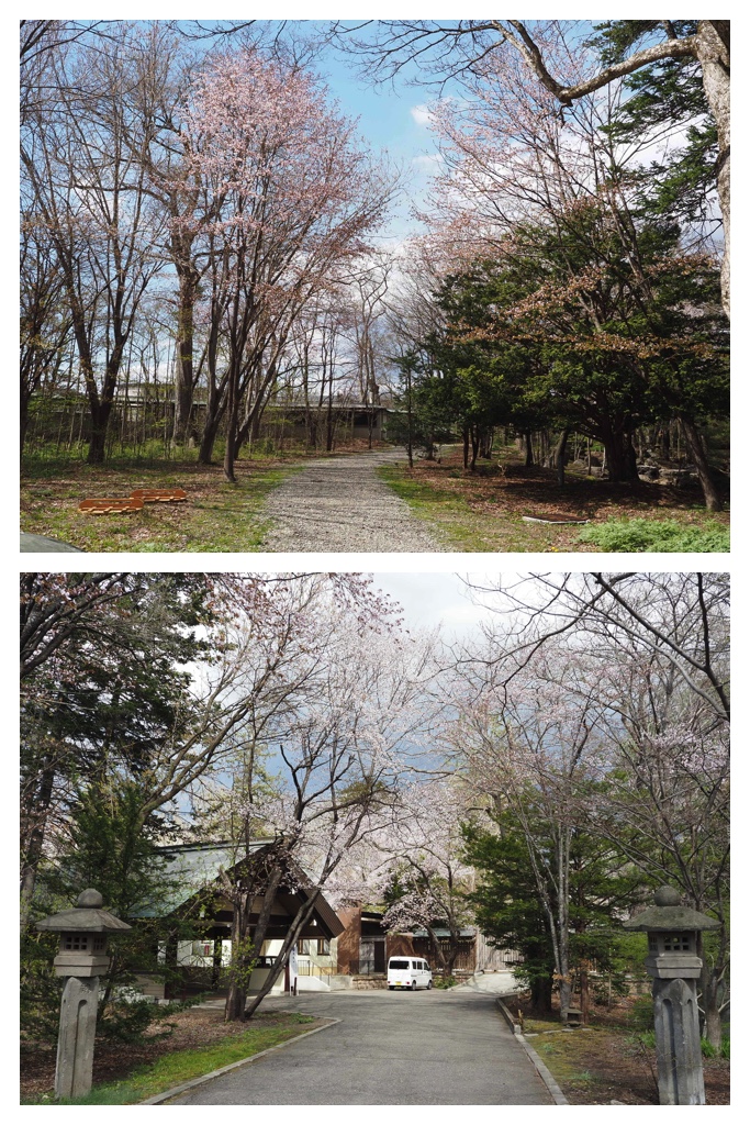260424_Obihiro-jinja_14