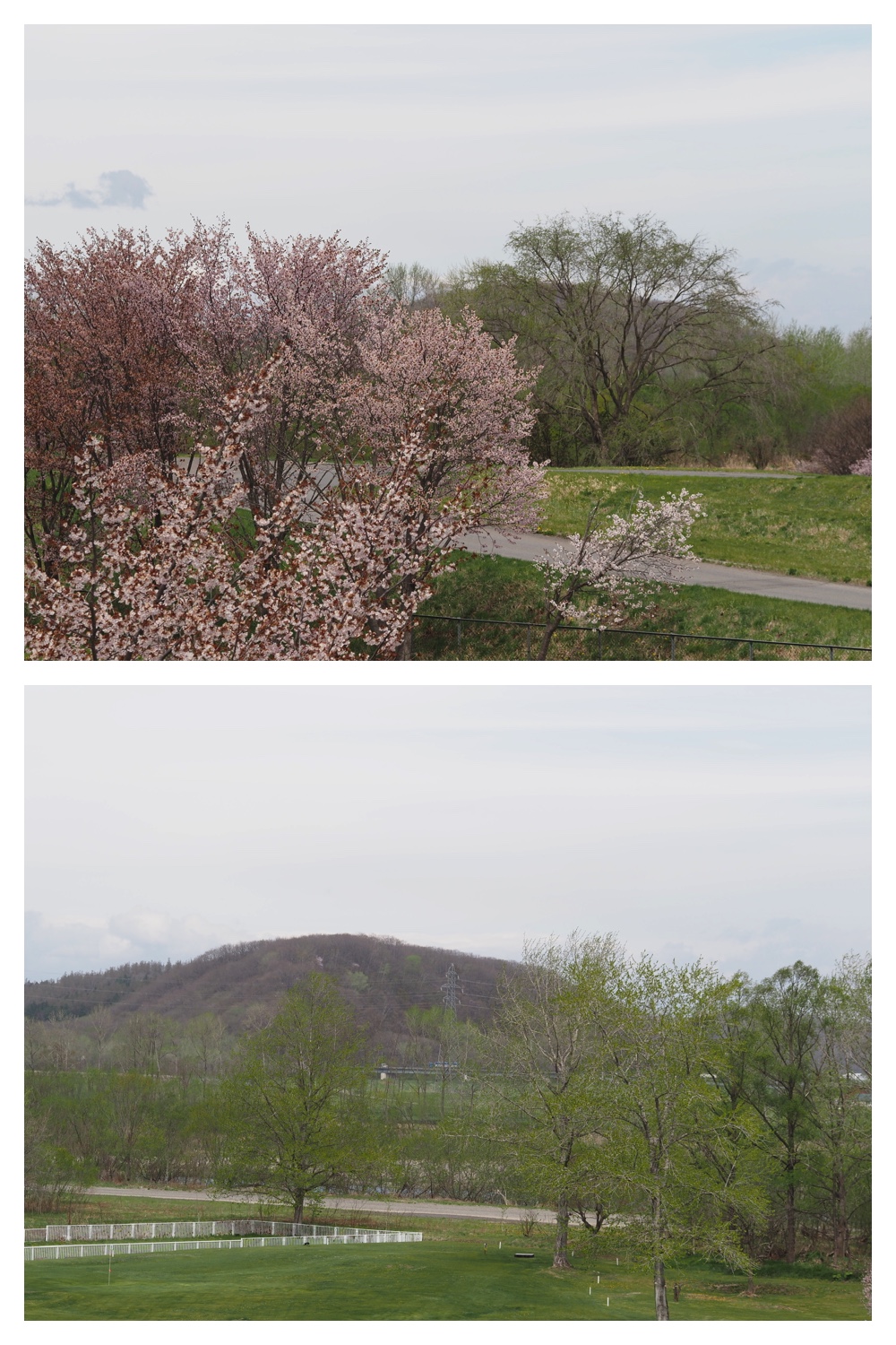 260428_Kunimiyama_1