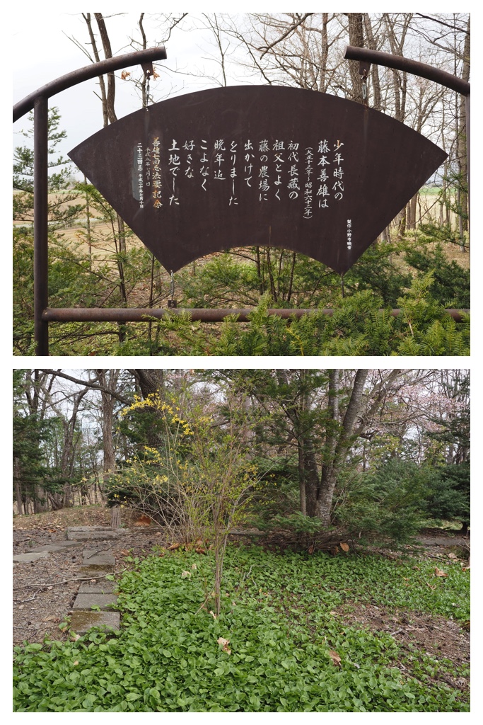 260429_Fuji-daibutsu_11
