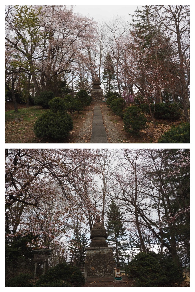 260429_Fuji-daibutsu_7