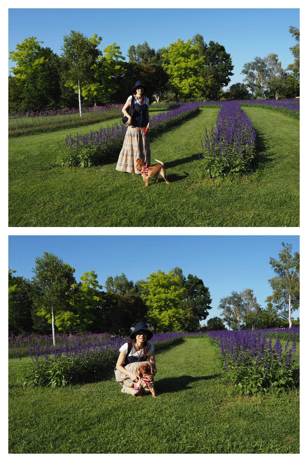 260802_Hills_9